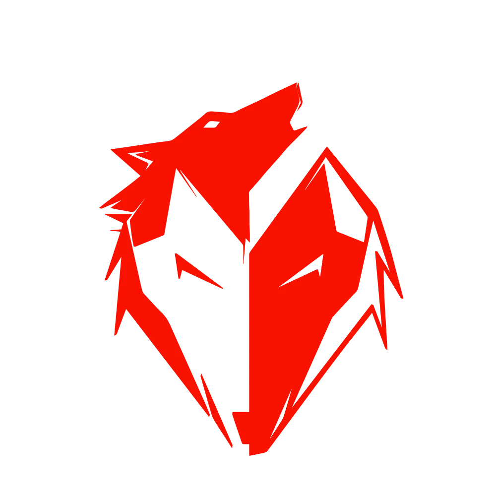 Ekkovision